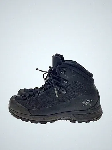 ARC'TERYX / Trekking Boots / 25cm / Black / 084202