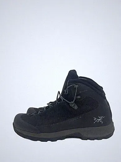 ARC'TERYX / Trekking Boots / 26.5cm / Black / 072123-411274
