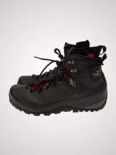 ARC'TERYX / Trekking Boots / 27cm / Black / Gore-Tex / 063140-216828