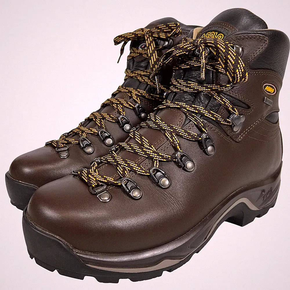 Asolo Men's TPS 520 GV EVO Water-Resistant Backpacking Hiking Boots Size US 9