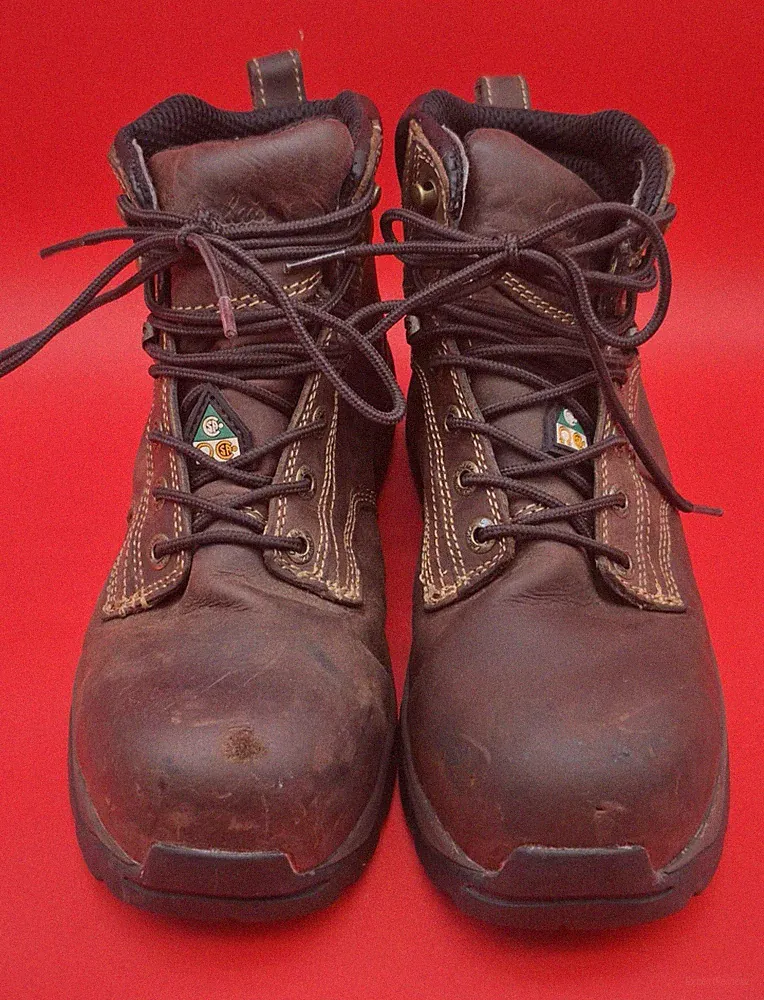 Cabela's Men’s Dry Plus Hiking Boots Roughneck Ledger Lace Up Hunting Size 10D
