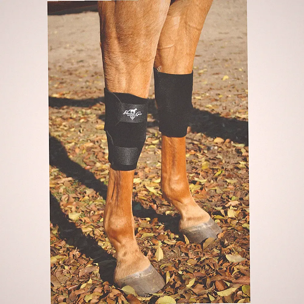 Professionals Choice Equine Knee Boots - Protective Horse Leg Support - Black